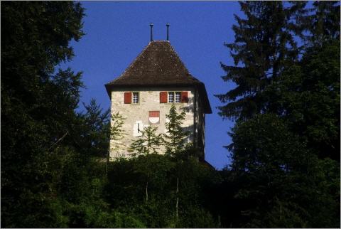 Schloss Buchegg